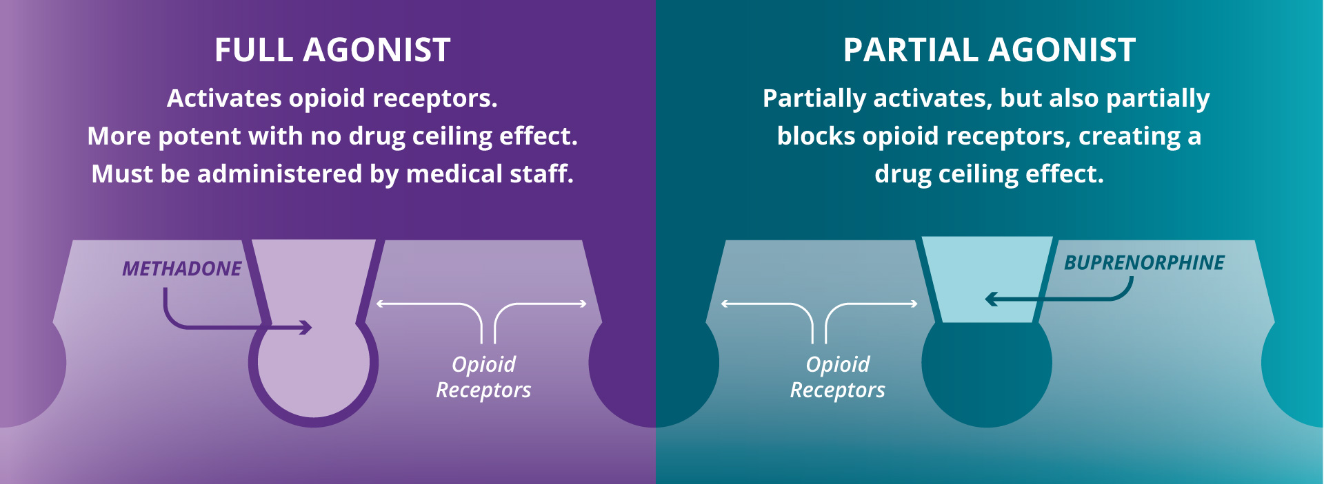 opiates drugs examples