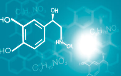 The Role of Alkaloids in Drug Addiction